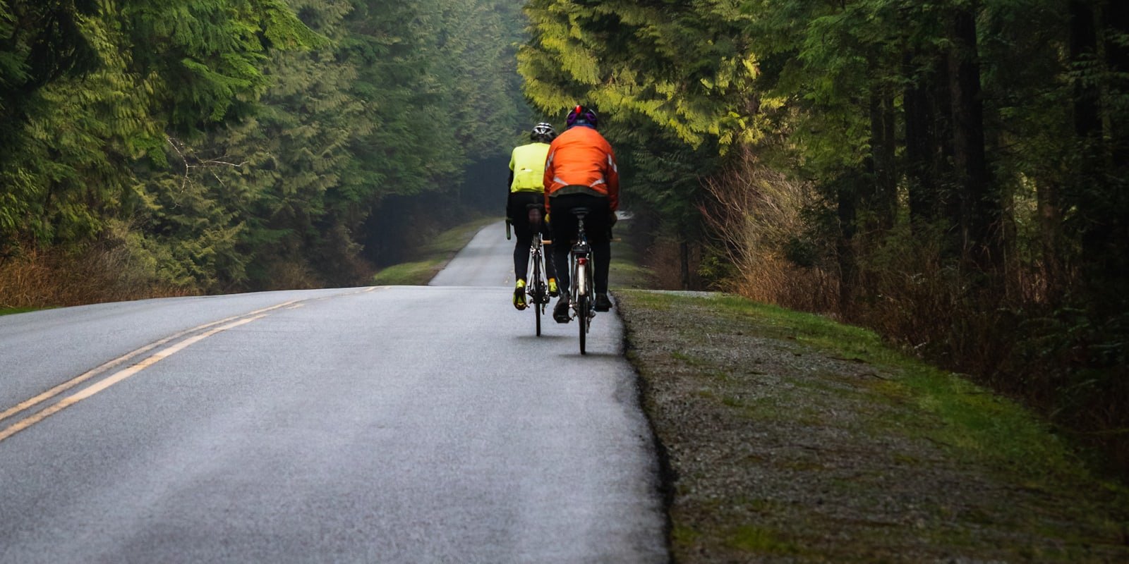 Deux cyclistes roulant côte à côte sur une route forestière en automne