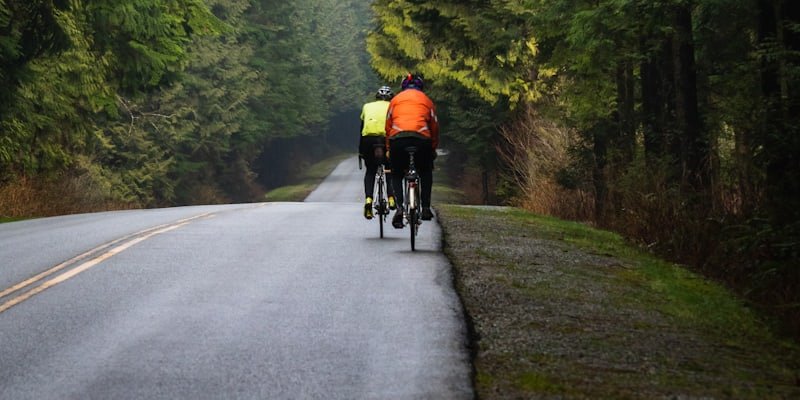 Deux cyclistes roulant côte à côte sur une route forestière en automne