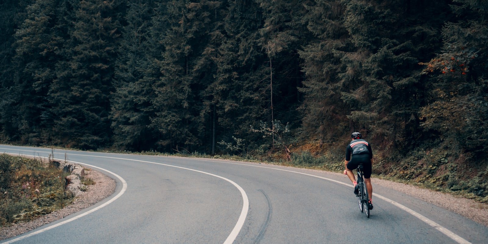 Route sinueuse traversant une forêt, un cycliste au loin