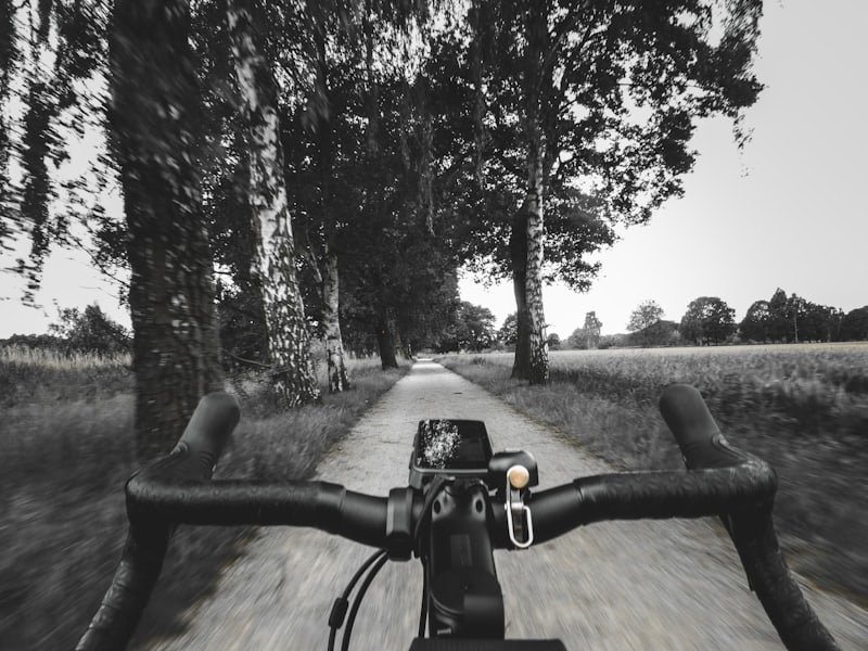 Vue depuis le guidon sur une route de campagne bordée d'arbres